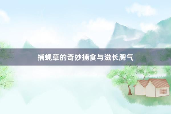 捕蝇草的奇妙捕食与滋长脾气